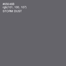#65646B - Storm Dust Color Image